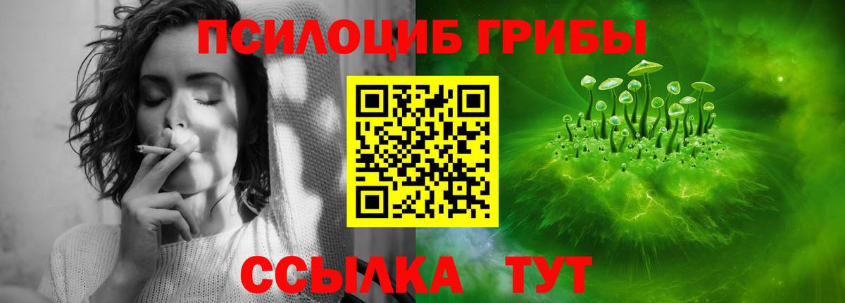 Галлюциногенные грибы Magic Shrooms  Вход с VPN  Псилоцибиновые грибы MAGIC MUSHROOMS  Будённовск 