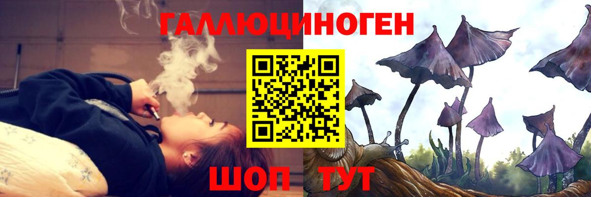 Галлюциногенные грибы Cubensis Будённовск